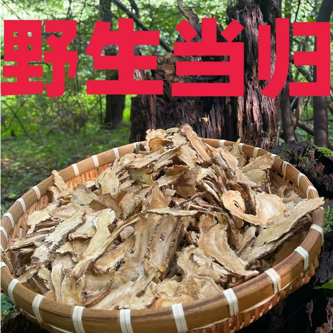 东北 长白山  野生 当归