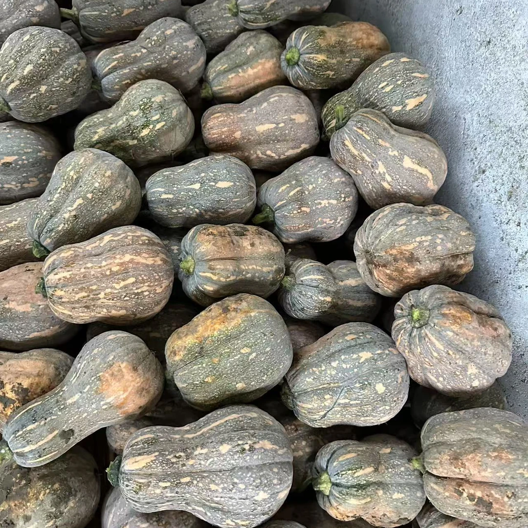 农家自种新鲜软糯香甜小金香南瓜当季蔬菜