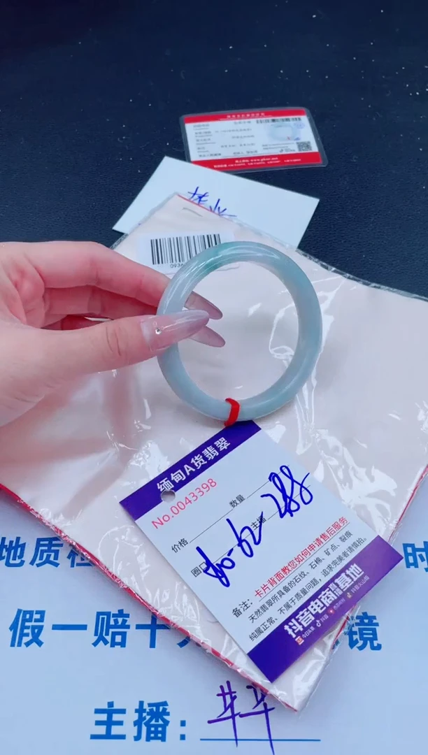 未镶嵌手镯翡翠1