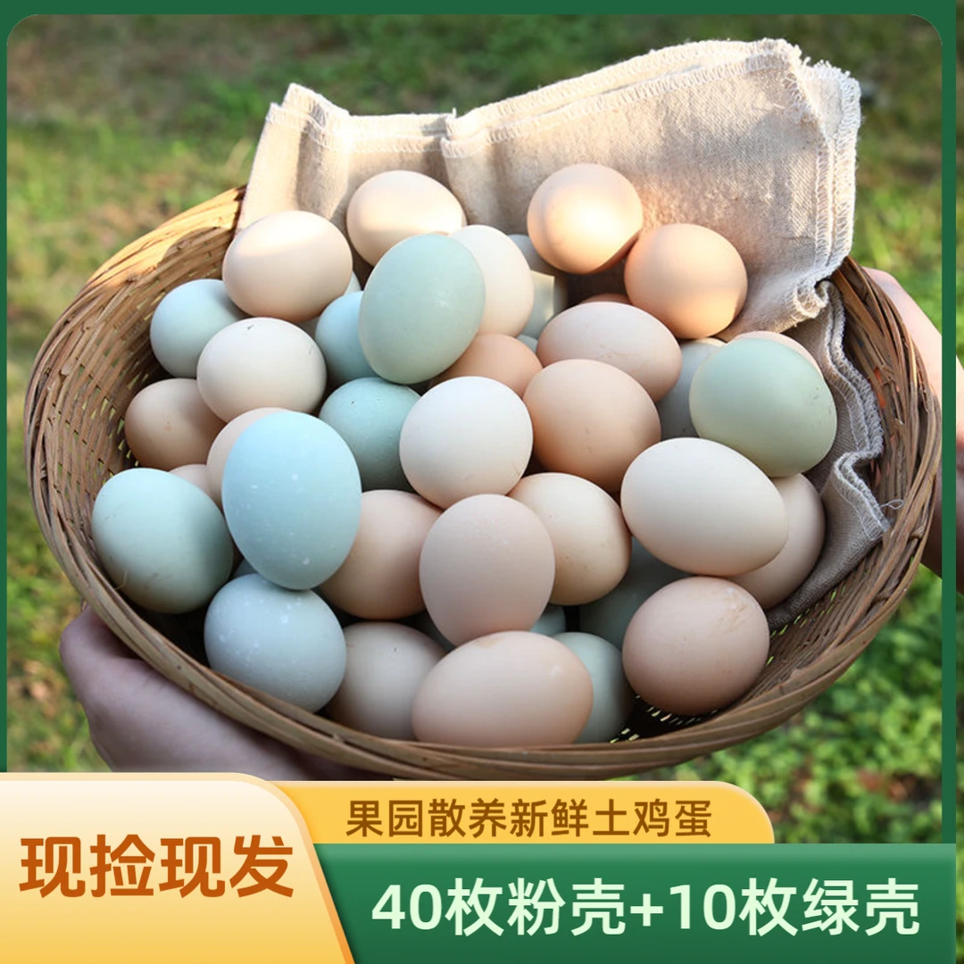 【40枚粉壳+10枚绿壳】农家散养土鸡蛋 新鲜绿壳乌鸡蛋现捡现发