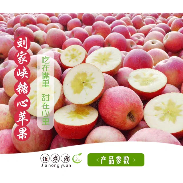 甘肃永靖县刘家峡特产黑台冰糖心红富士苹果丑苹果邮政航运包邮