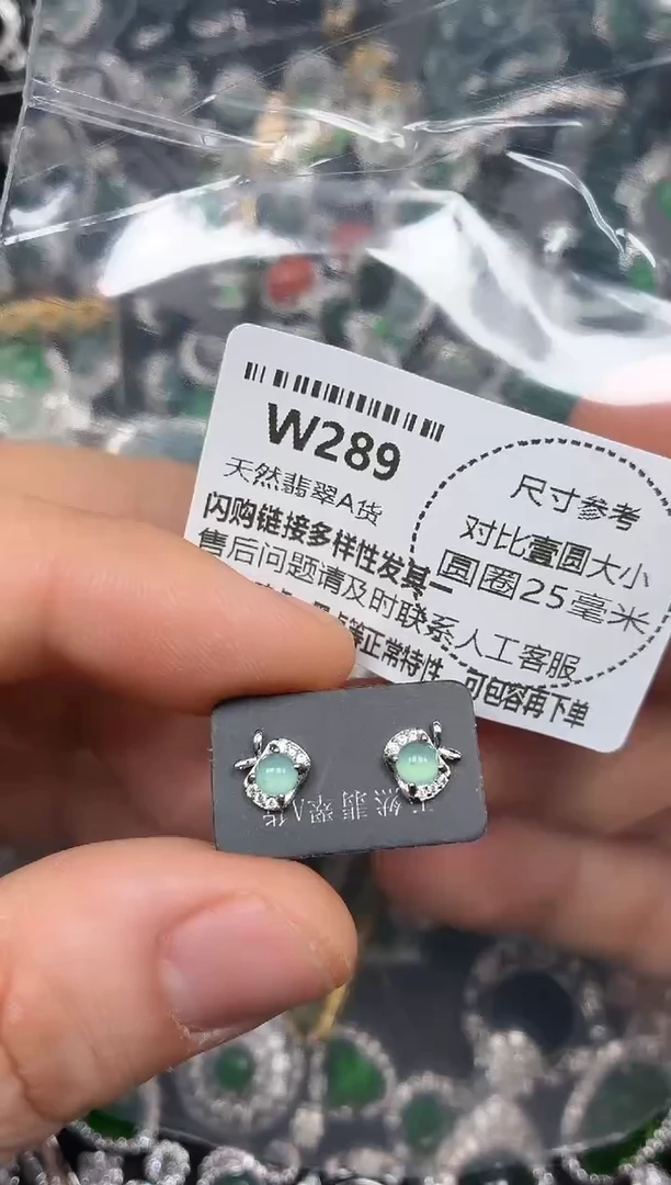 颈饰未镶嵌翡翠W289耳钉