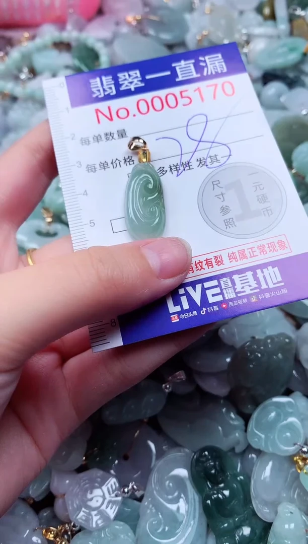 吊坠(不含链)未镶嵌翡翠5170
