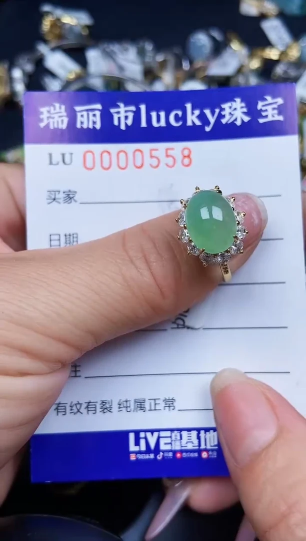 翡翠银S925镶嵌颈饰0558