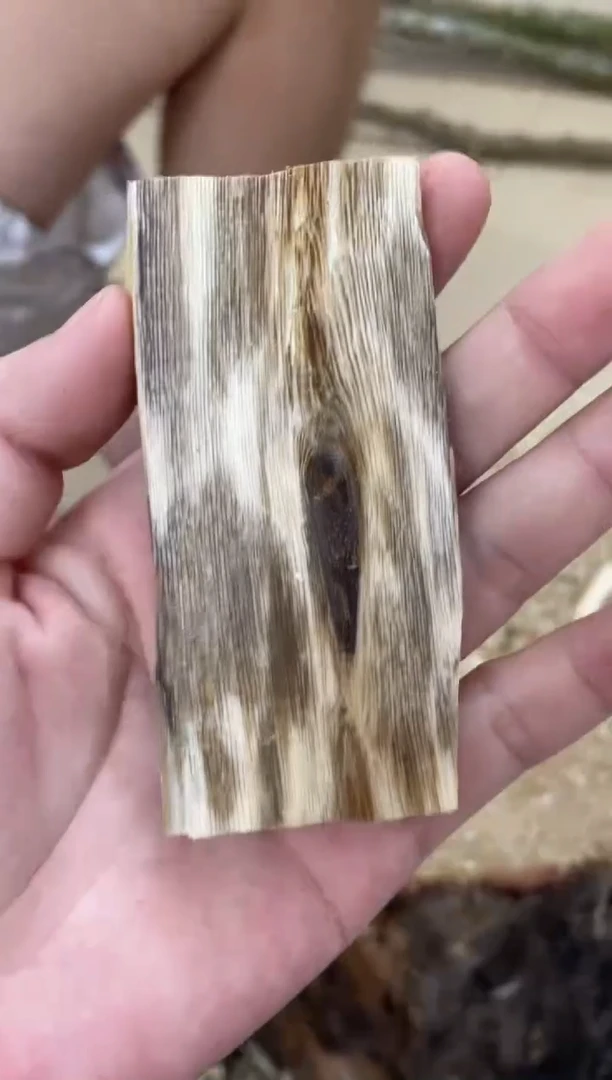 沉香沉香碎屑棋楠沉香 原料文创1