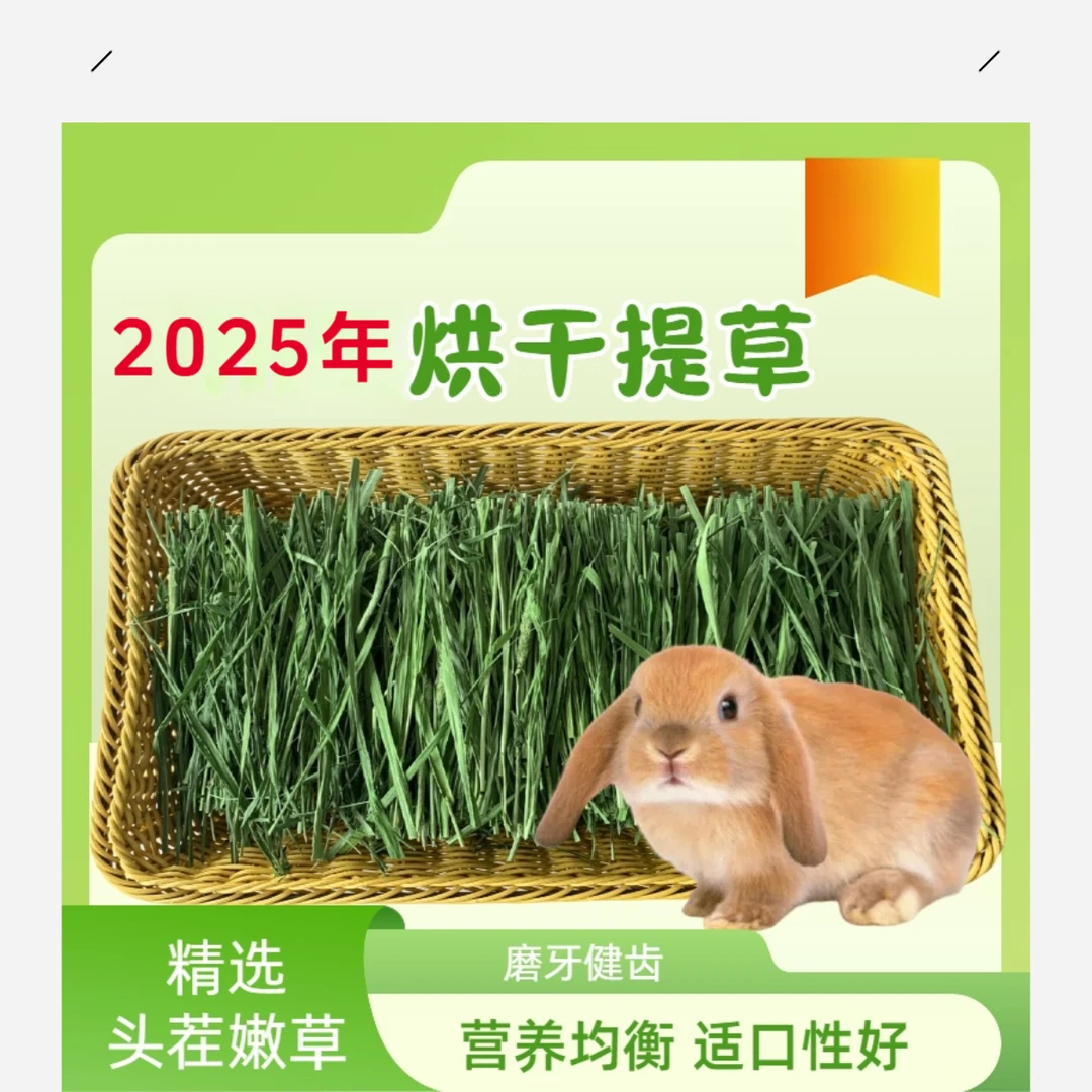 烘干提摩西草段兔子龙猫猪专用磨牙干草牧草主食