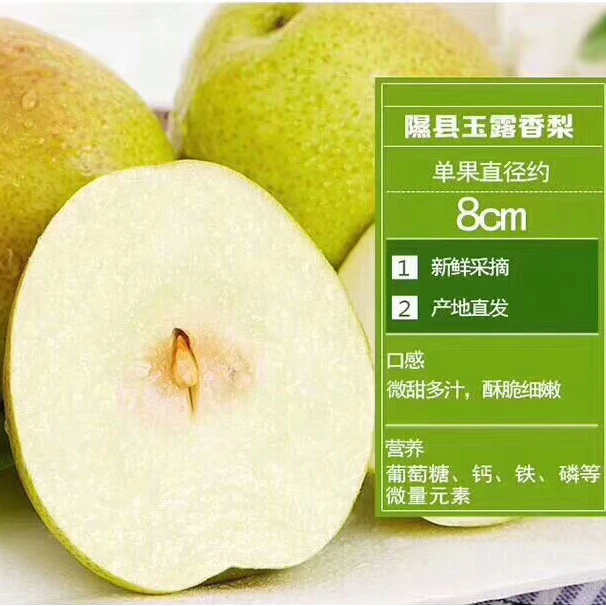 正宗隰县玉露香梨15颗8斤礼盒装原产地自建大型恒温库