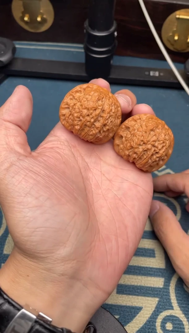 文玩核桃吊坠血麒麟39