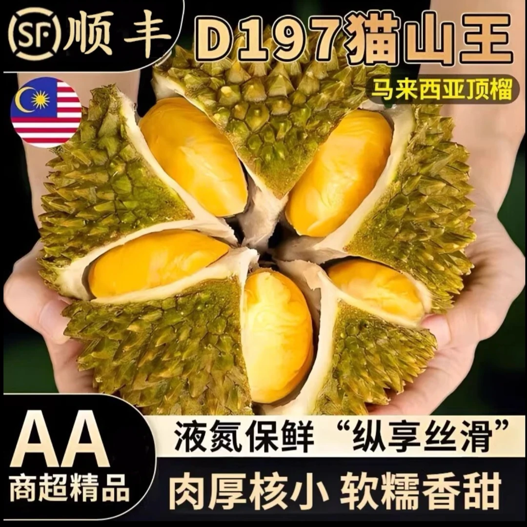 【猫山王】马来西亚猫山王D197榴莲黄金产地都赖村树熟保五房液氮带壳冷冻顺丰空运猫山王马来西亚