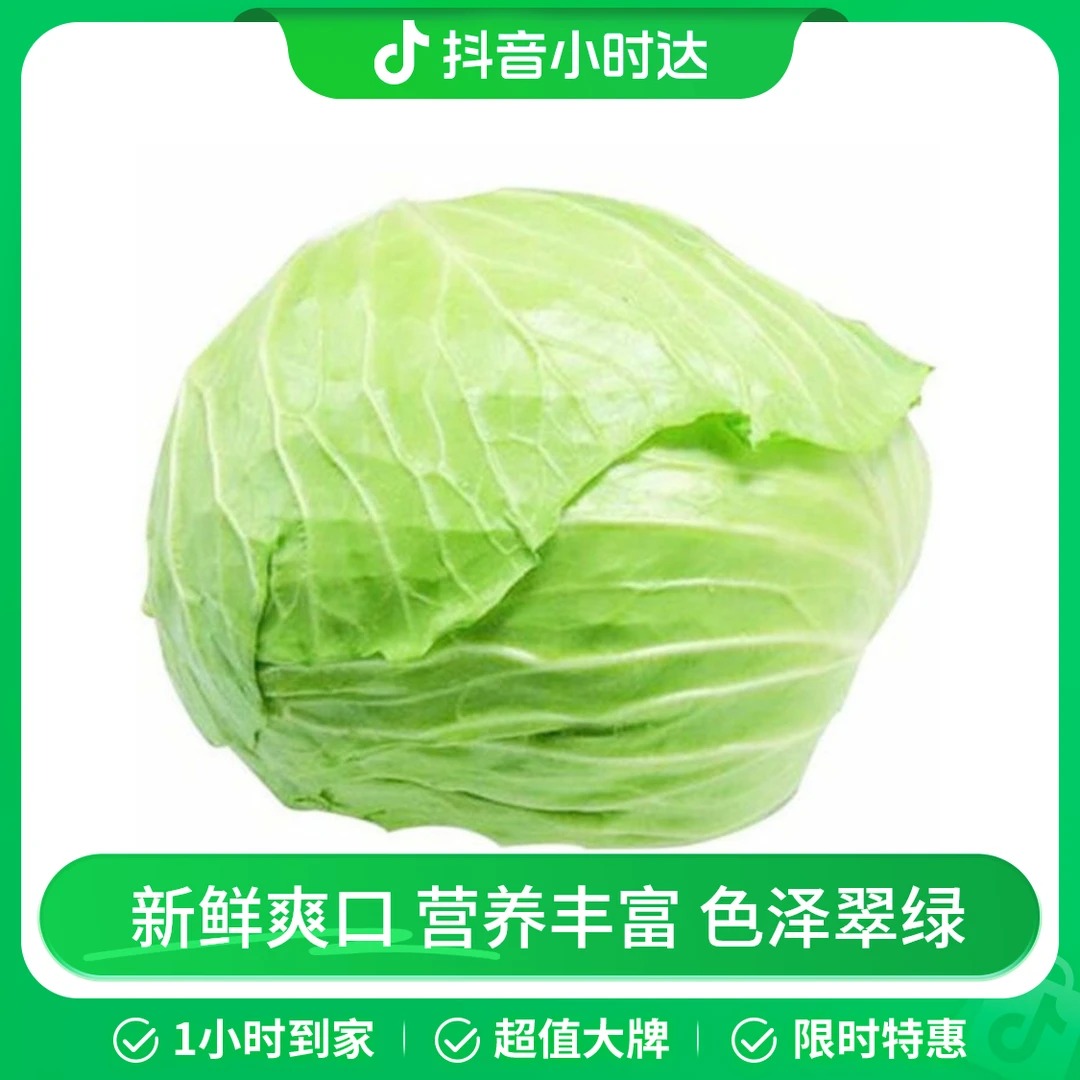圆白菜（卷心菜） 约1-1.2kg/个