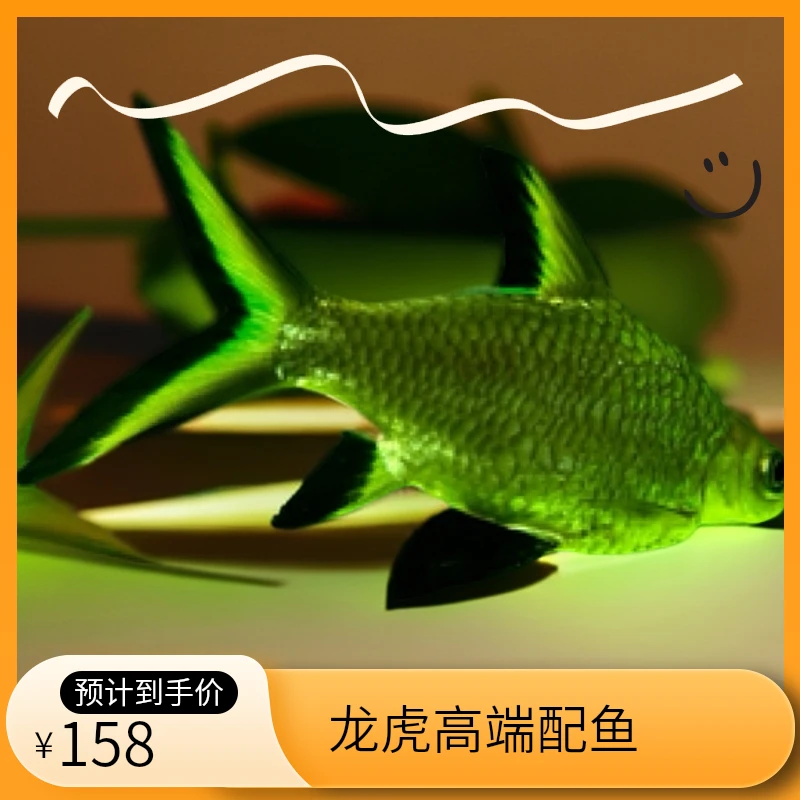 龙虎高端配鱼（短身银沙鲫鱼）