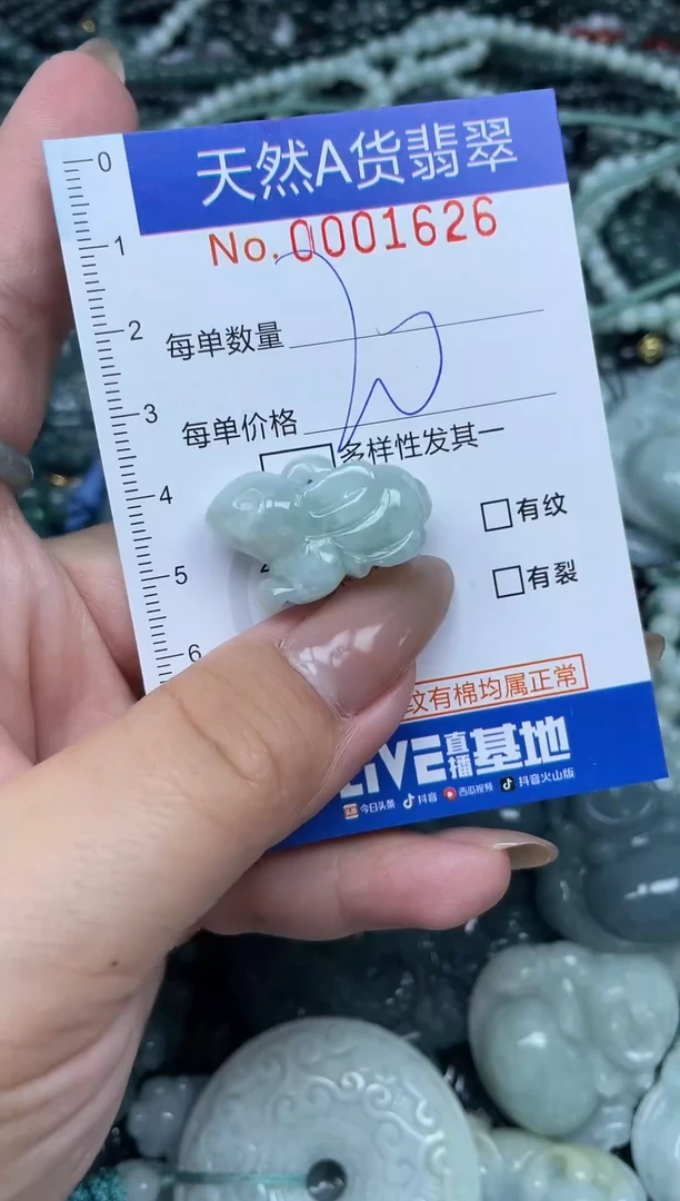 颈饰未镶嵌翡翠天然A货 支持复检