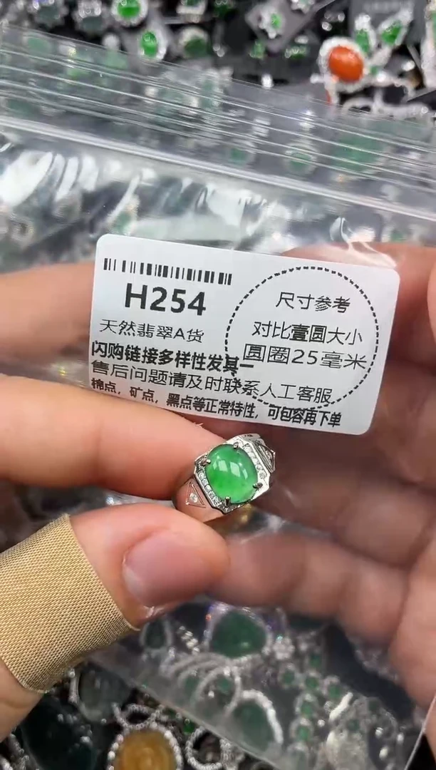 颈饰未镶嵌翡翠H254戒指