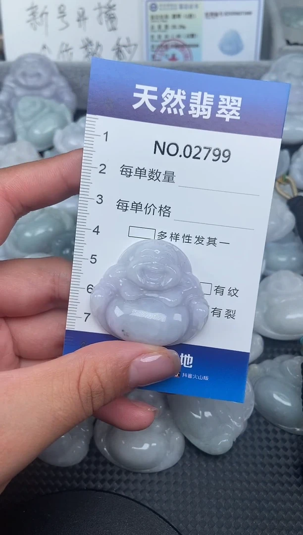 颈饰未镶嵌翡翠纯天然A货翡翠2799