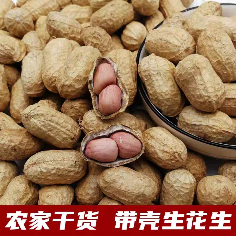 【晒干新货】2025年带壳花生5斤/3斤生花生 新鲜农产品河南白沙种子