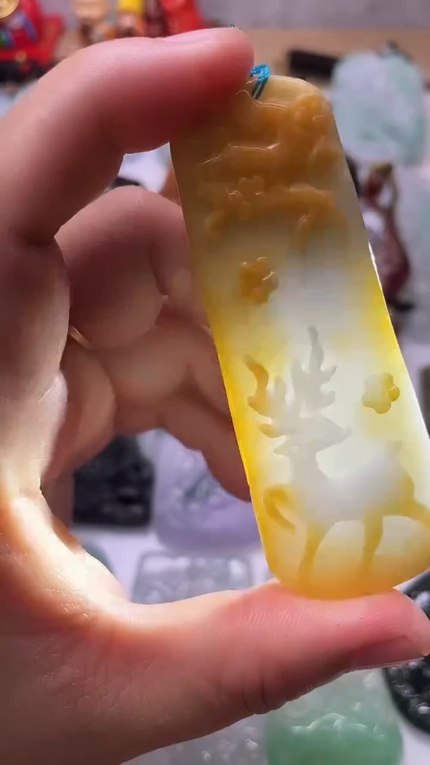 颈饰未镶嵌翡翠22