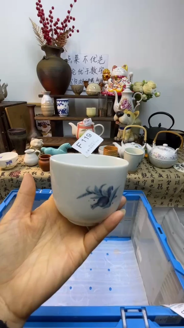 瓷片-F-          119