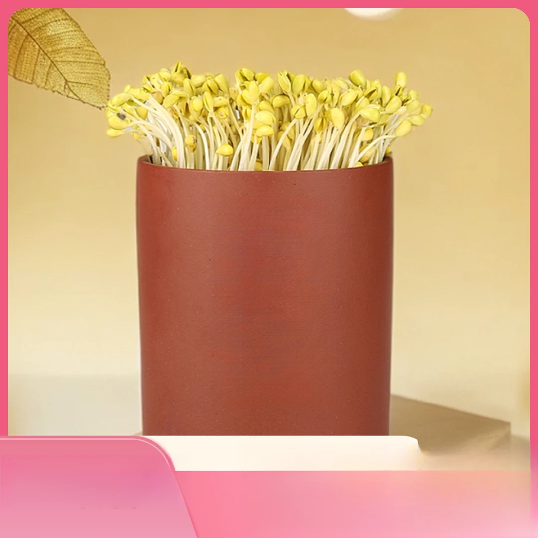 红泥小号直筒芽苗罐豆芽机自动发芽机家用实用方便