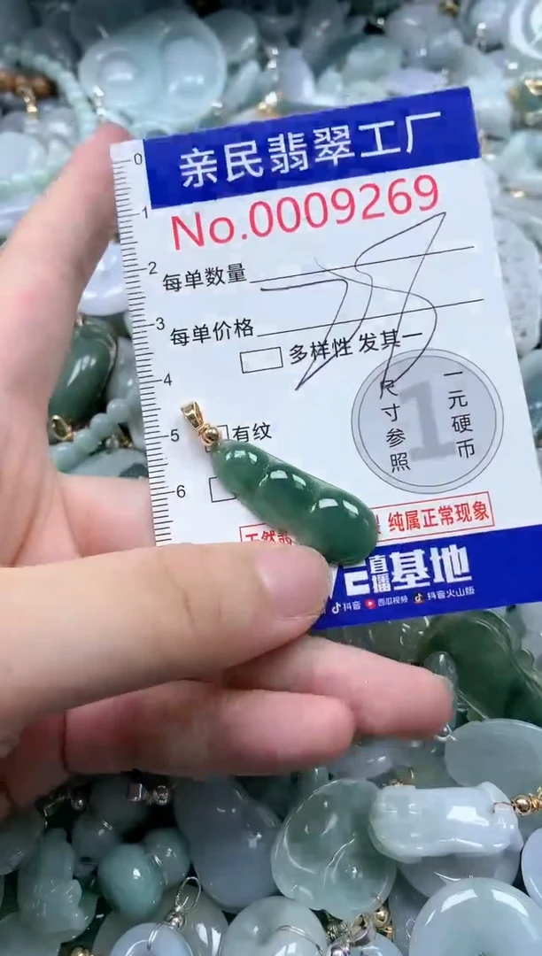 翡翠未镶嵌吊坠(不含链)9269