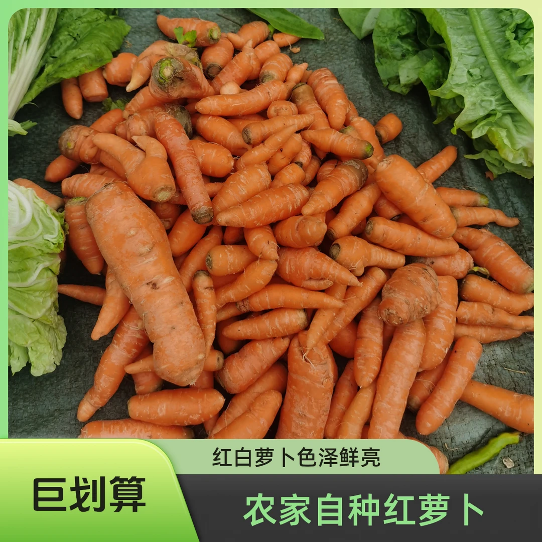湖南耒阳农家自种红萝卜白萝卜
