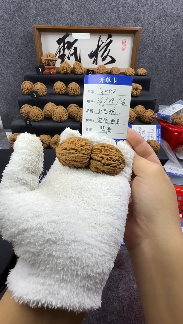 把件文玩核桃G002 36尺高炮逆耳（龟背）凹底