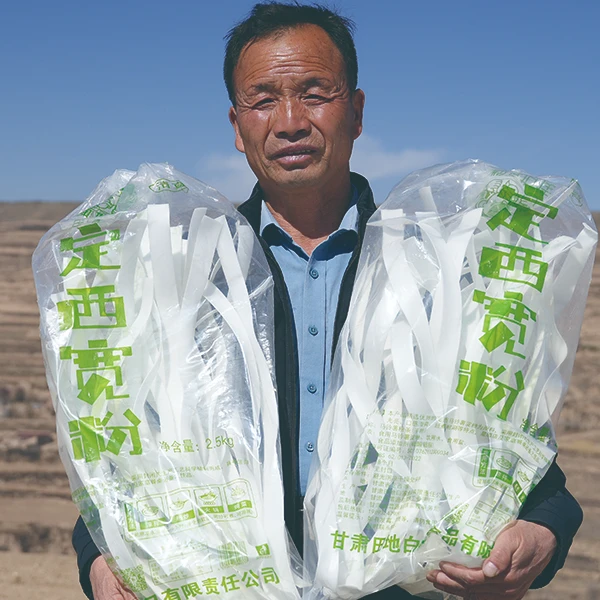【双11狂欢购】定西宽粉干粉条火锅粉手工精选土豆粉条天水麻辣烫