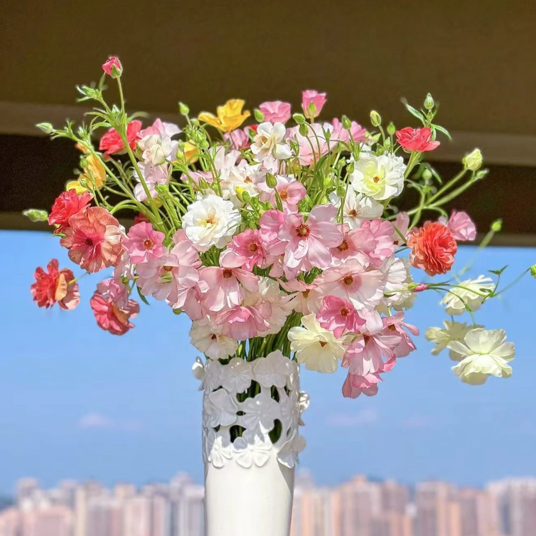【蝴蝶洋牡丹】高级小众水培鲜花花期长