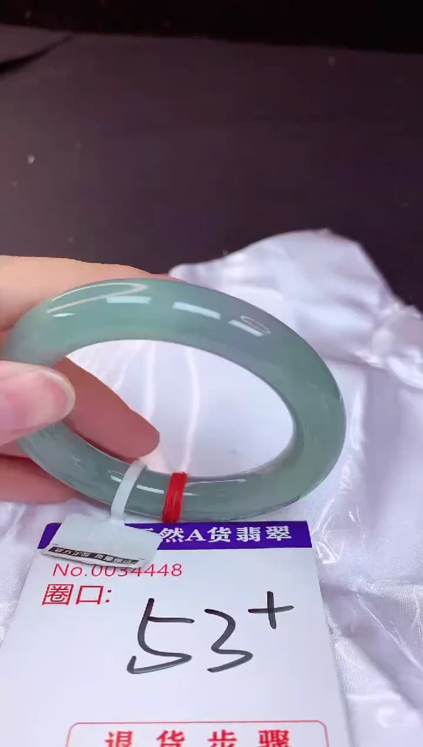 未镶嵌手镯翡翠53