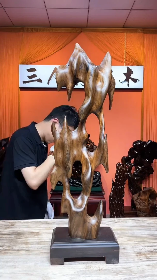 金丝楠结*缘金丝南木小叶桢楠