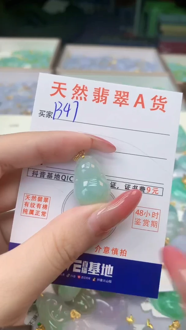 颈饰银S925镶嵌翡翠天然A货翡翠挂件