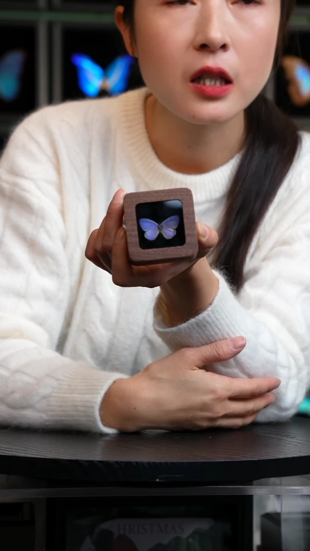 珍贵妩灰蝶胡桃木盒子