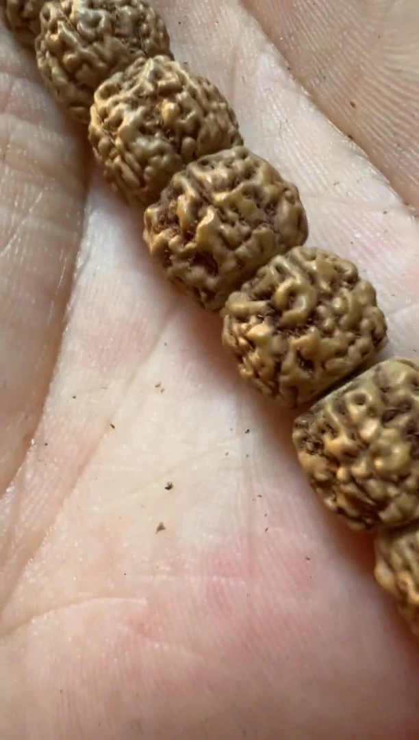 金刚菩提吊坠389一代龙潜水艇8-12mm+钢丝刷