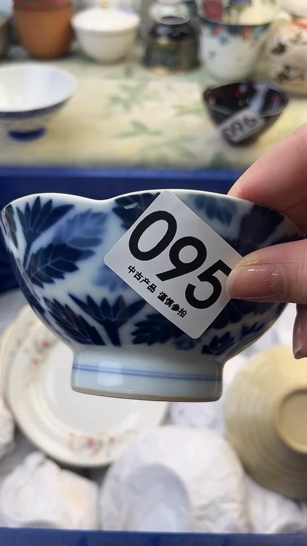 ?****?095...........