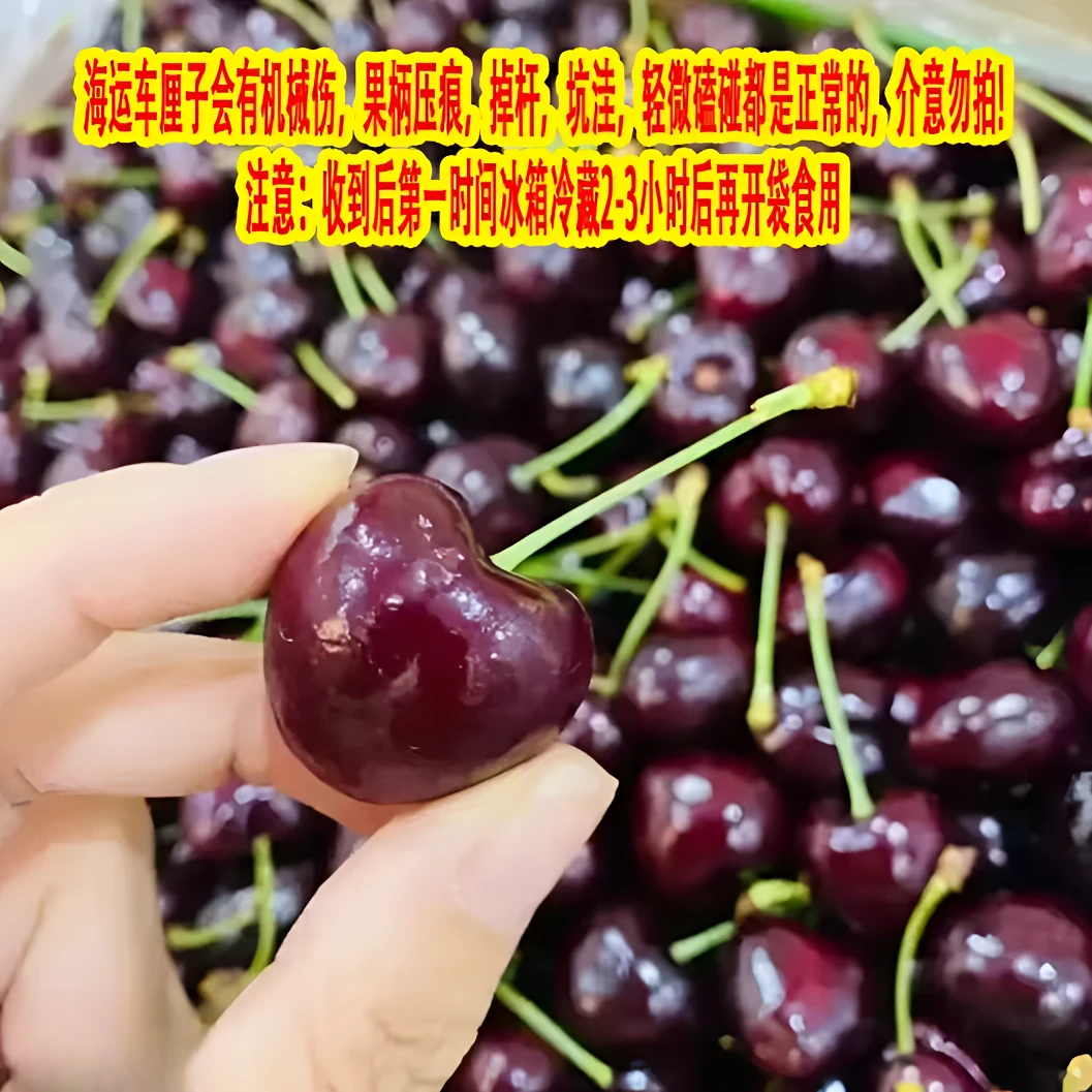 【整箱10斤】XLD海运桑提娜车厘子仅限长治地区购买 内附果径卡