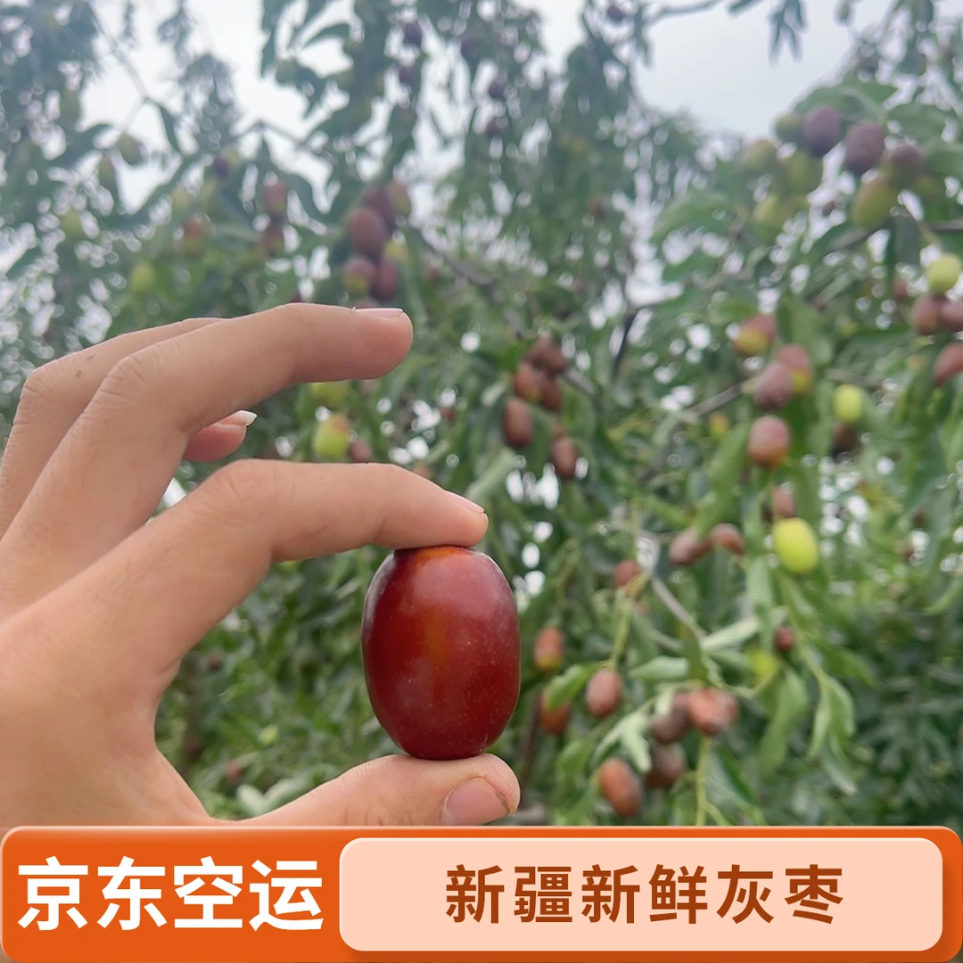 （京东空运）新疆灰枣新鲜灰枣现摘脆甜皮薄肉厚应季
