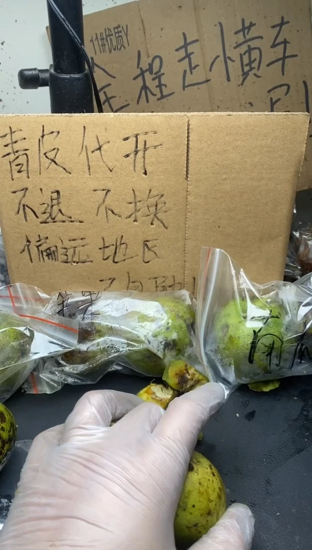 不退不换ZWF苹果11