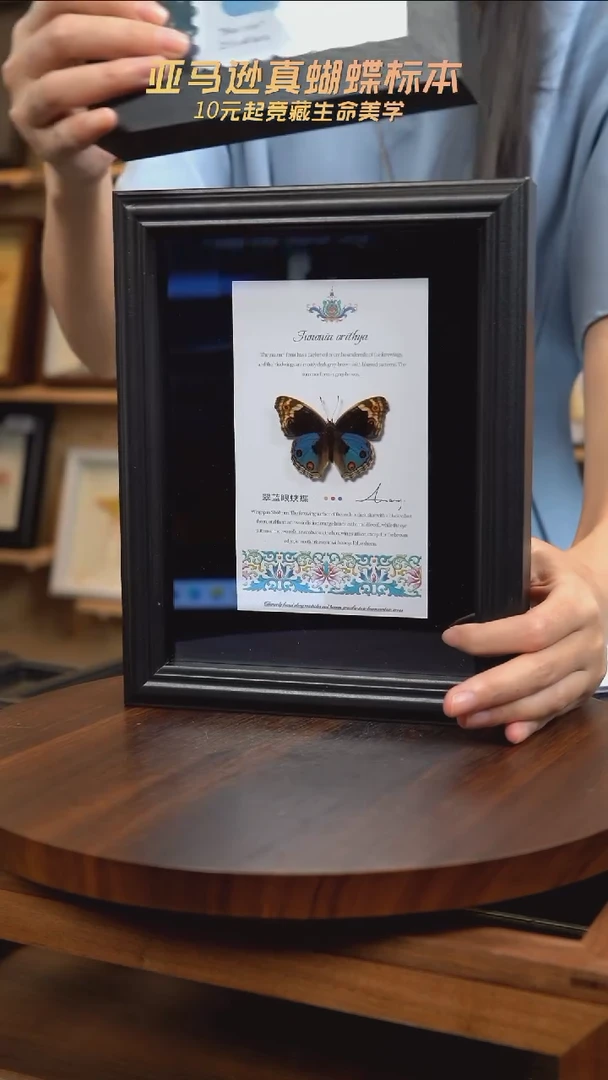 翠蓝眼蛱蝶新版本8寸