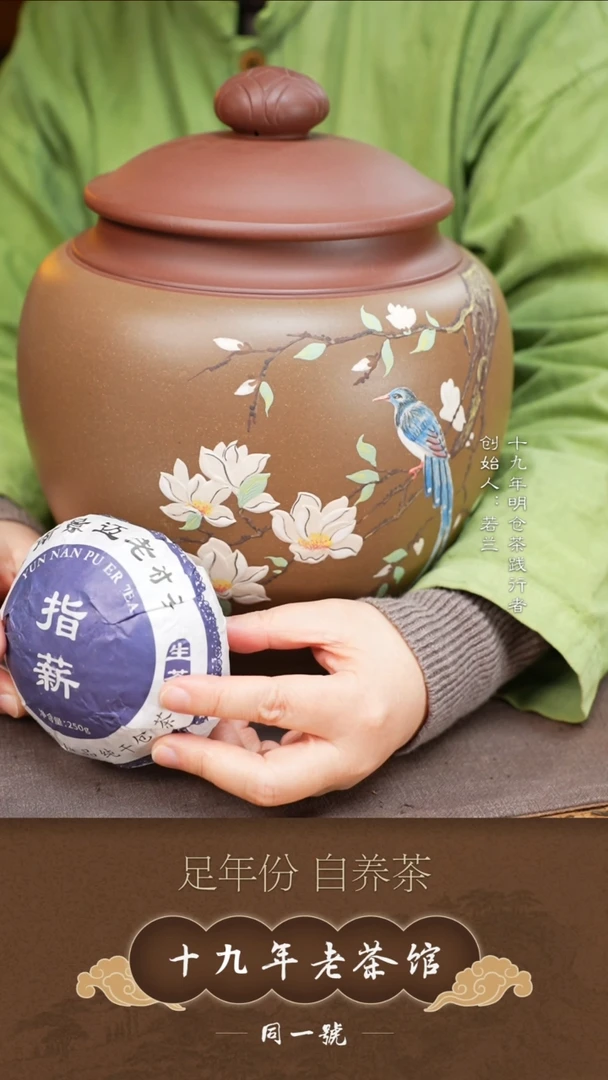 【闪购商品】6沱指薪+一个三斤原矿紫砂罐
