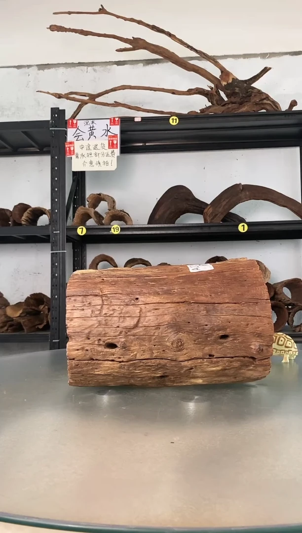 国**安鱼缸爬宠造景素材278
