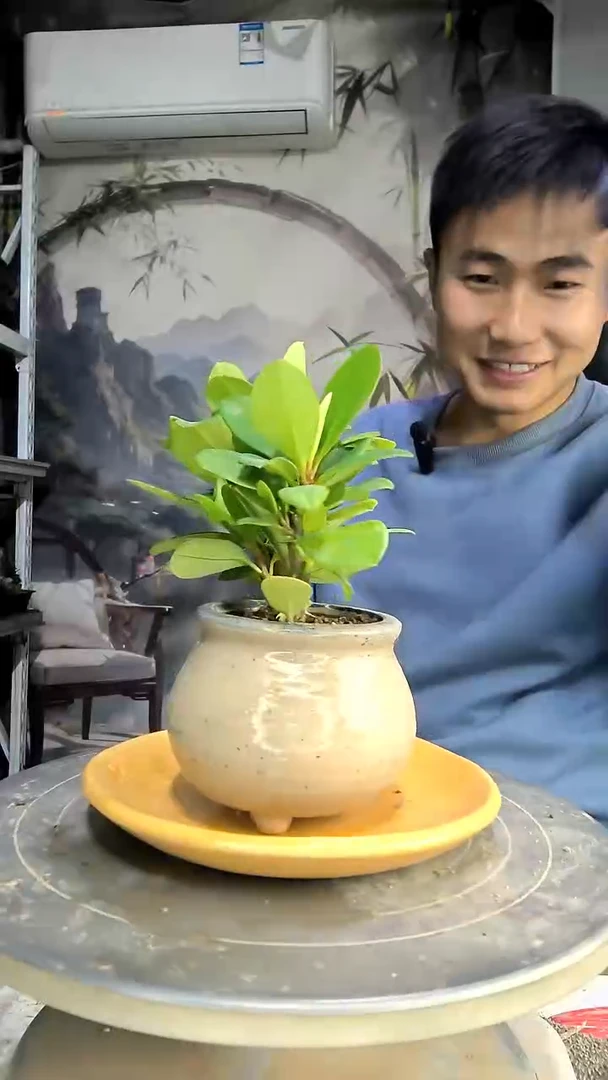 俊*中青园艺一物一拍3