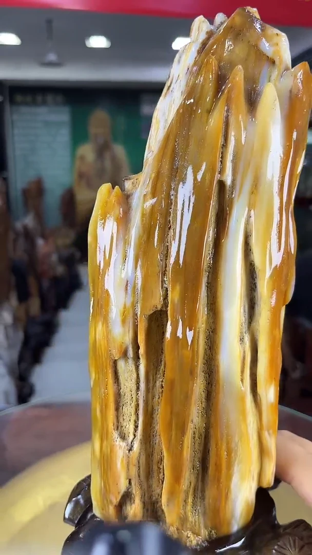 未镶嵌珠宝奇石硅化玉缅甸天然树化玉摆件
