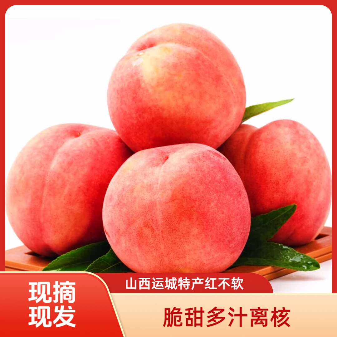 【脆桃】脆甜多汁脱核山西运城红不软大水密桃山西省