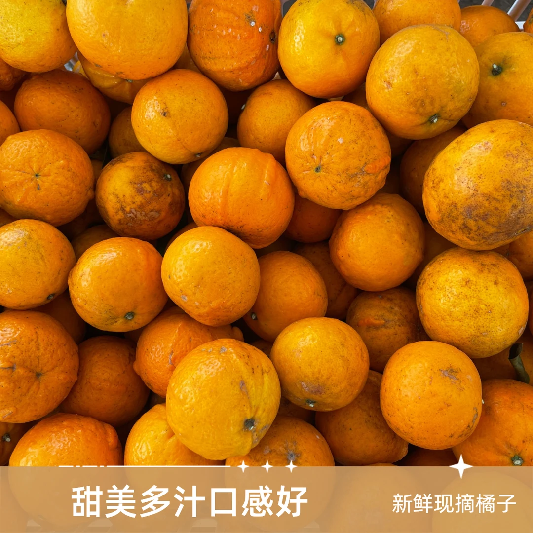 带箱10斤沃柑包邮【助农产品表皮不好看】浙江发货新鲜浙江省