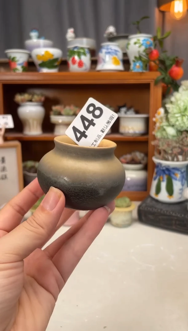 瓷片448知木小芳直播编号