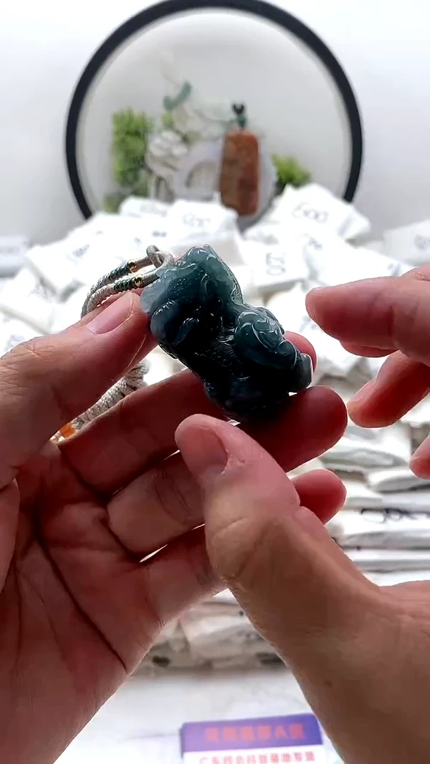 颈饰未镶嵌翡翠貔貅y