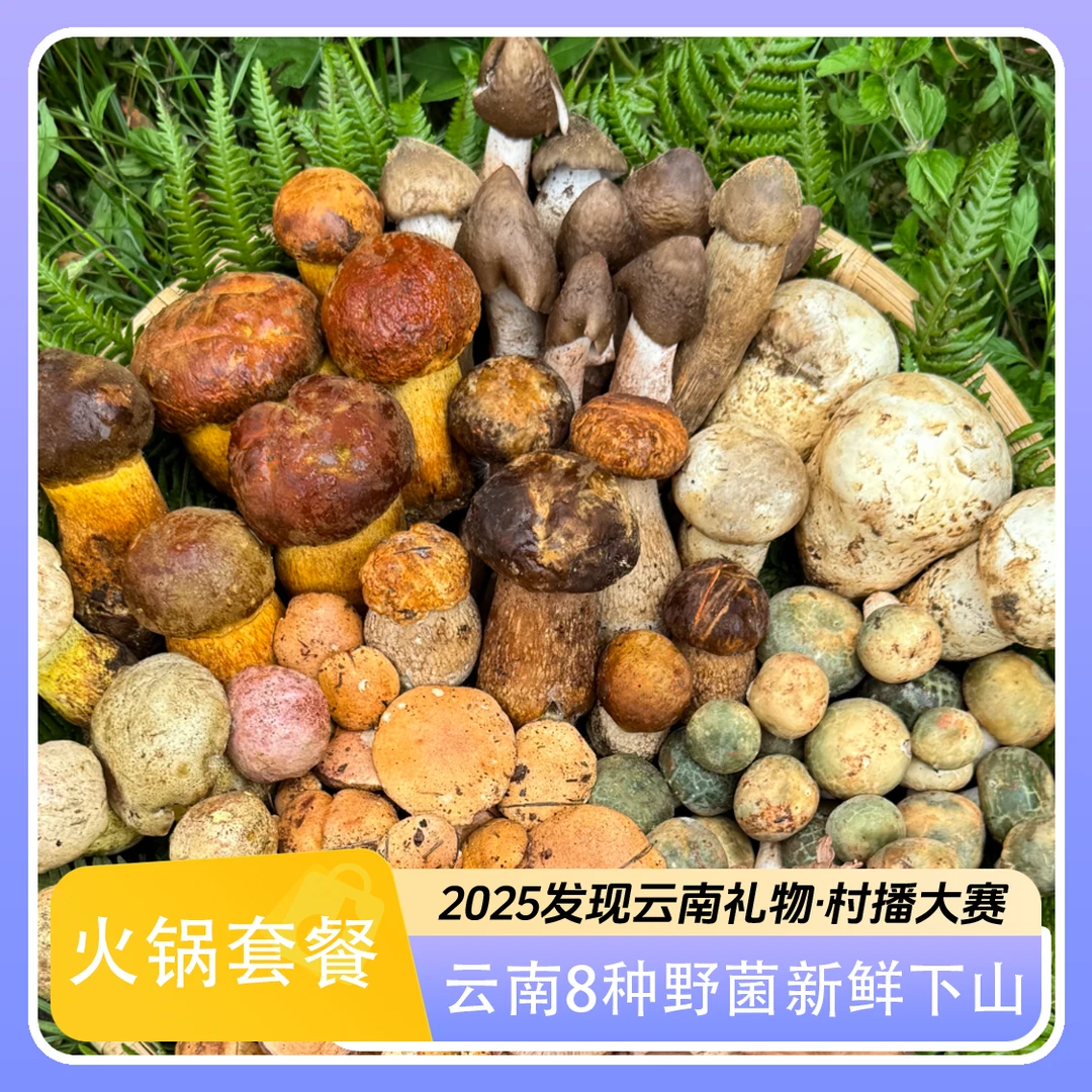 【小胡亲配】野生菌火锅套餐 云南楚雄南华8种纯野生新鲜下山野生菌