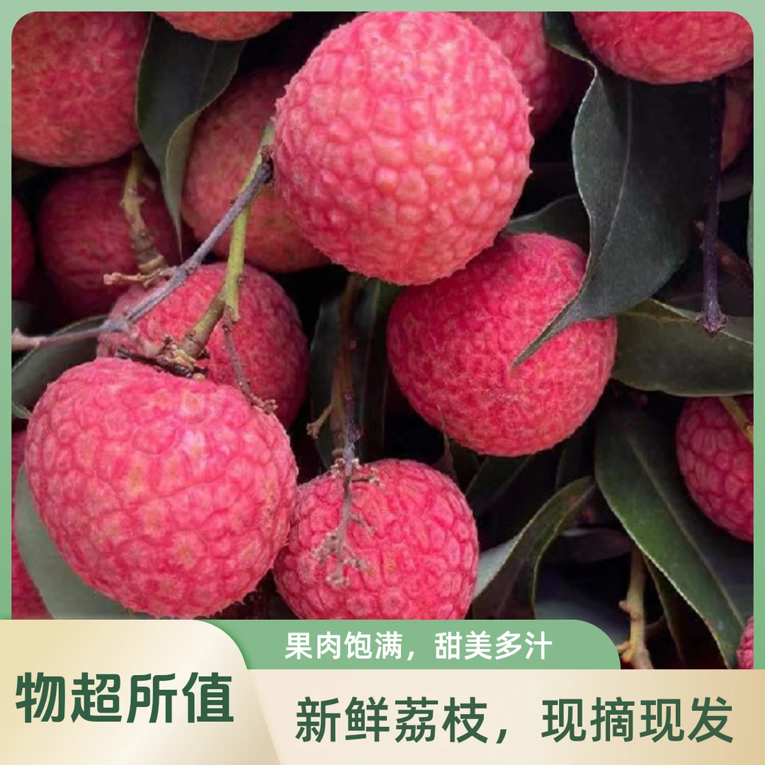 高州老树白糖罂荔枝1斤起新鲜荔枝纯甜荔枝荔枝同城送重庆市
