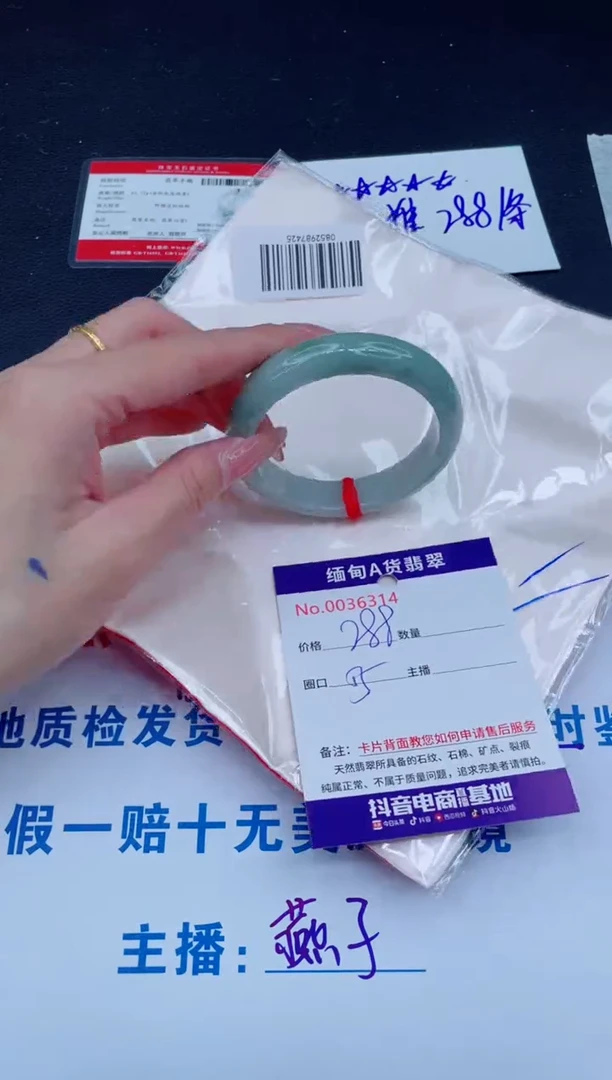 未镶嵌手镯翡翠1