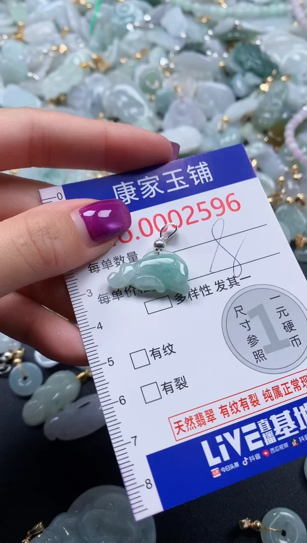 颈饰未镶嵌翡翠2596