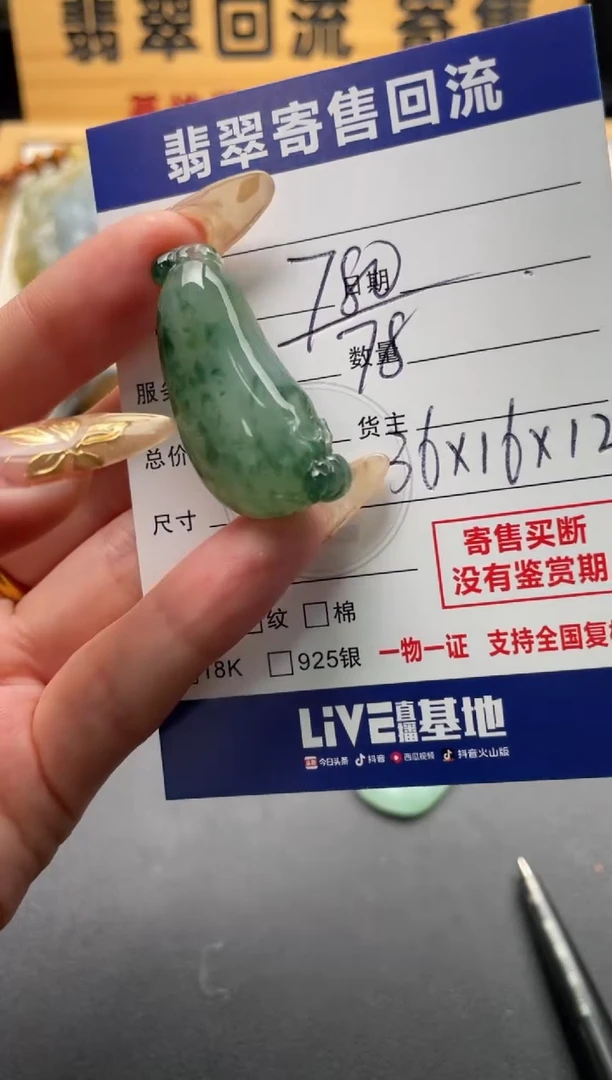 颈饰未镶嵌翡翠10146983